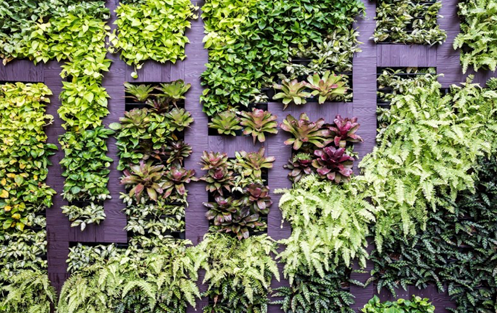 Biophilia is the concept of connecting humans to nature, now an element of decor.